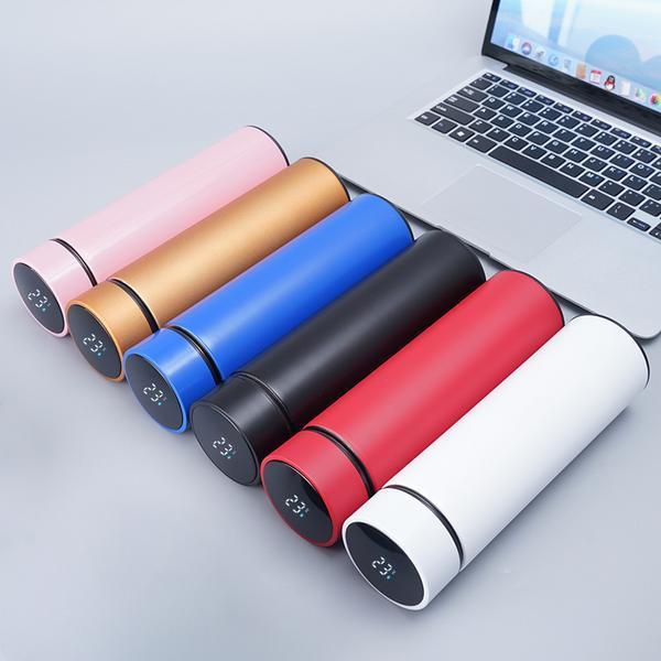 Temperature Water Bottle - Perfect for Gym, Keeps Water Cold